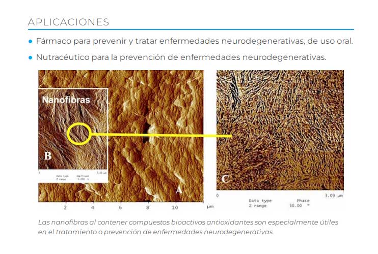 nanoprotector2