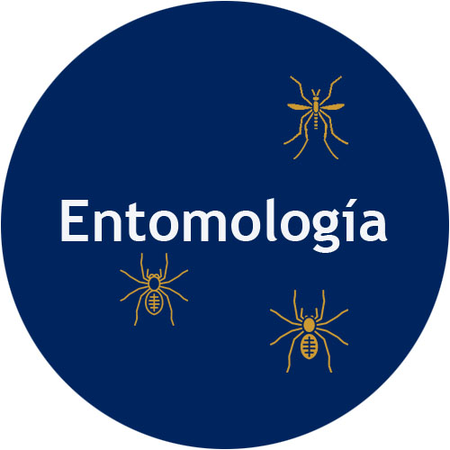 portafolio entomologa 2