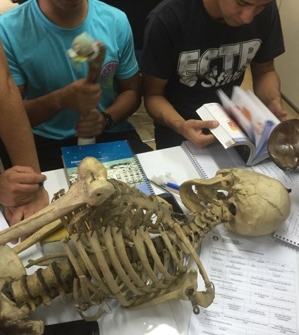 lab anatomia2