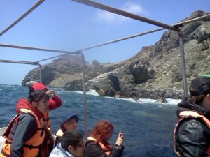 6577c6b0fbc4ba9ae61ff6583dc67c84 572