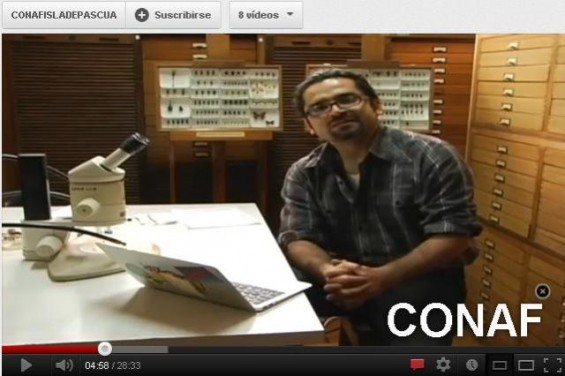 96e5c789d9b8bf3a9e86699e2b445aec 8b5