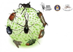 f59fd3a46f2adbbd9dd6269010353971 6e8