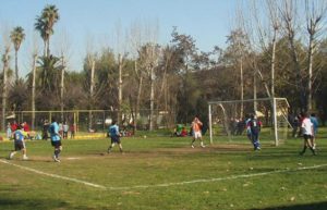 0bb2d4215d5de184c10e9f50ee1d9553 524