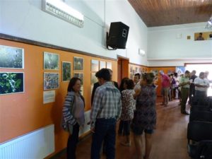 9cb6e71fd379c0a6d58ef216f9910ae9 9ca