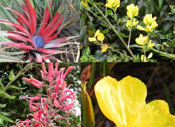 cb814f6646368a9340b7ed30aa1a9ed7 63c