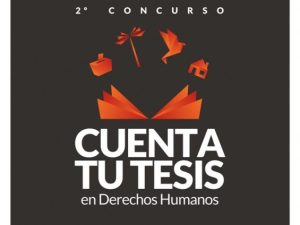 26c195007944b894aae7335fae091351 555