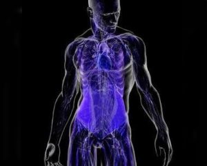 0e055015385980da4e111a90c5284edc 250