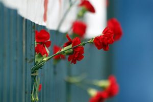 eb037833adde6dd3469d047f4c1e5ad0 310