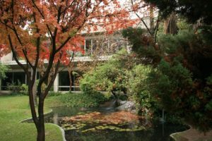 da89514e409822180ac867ab6712269d c44