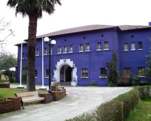 79e08f32fa8a036f84441baab7b7a7ff b2d