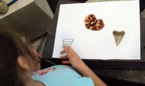 ea82697ed9755e975f3c7d735db2070c 6d2