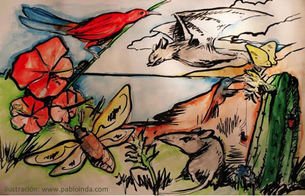 5d231997759398fd54d0c1f438d55347 f0f