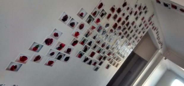 04ccfa5912a78134b8056676f3532d14 566