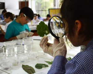 Fotografía: Gentileza EXPLORA