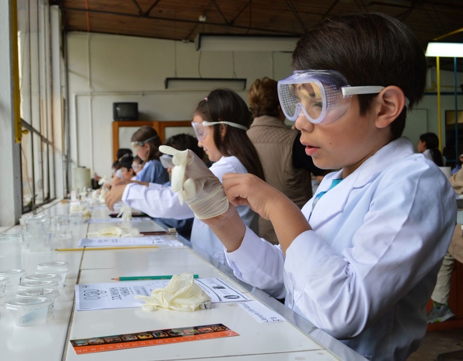 Foto: Gentileza EXPLORA