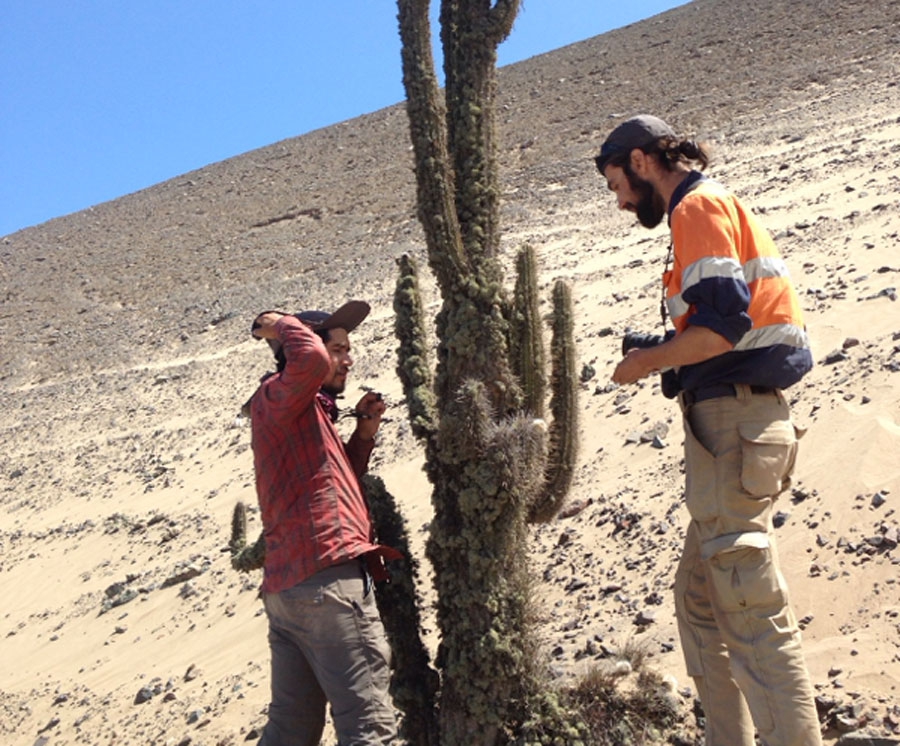 9ea2fd39c455df0cf2159afcc971c01a 795