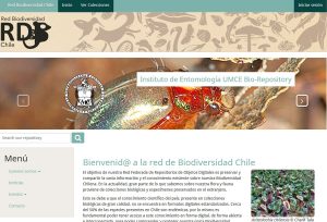 e8254cdf6a60c0aacb685c6fcaf4d937 fcb