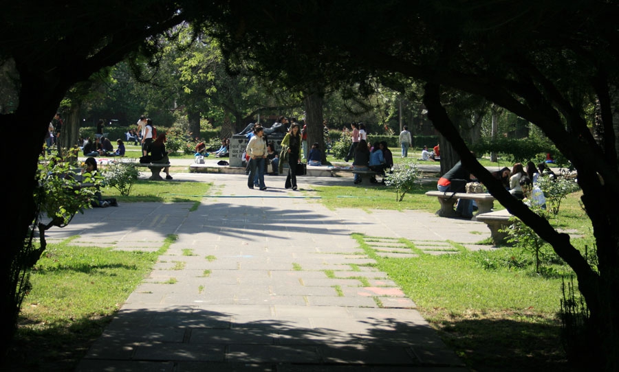 e412d8c340fee3729deb11bde45f02dd 7ec