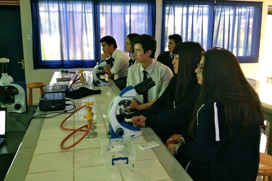 a9ea13237c0502159263f017095ec8e6 1cf