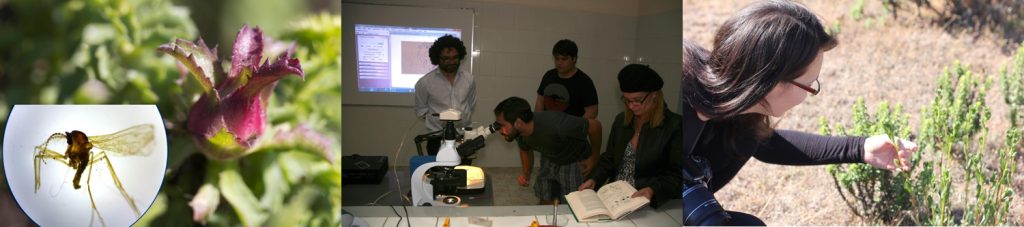 54f5be3ea3d707845e48b51427471fd9 026