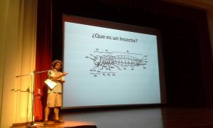 9c95f21ed068edf7ca1f11dba5cf66a1 fe4