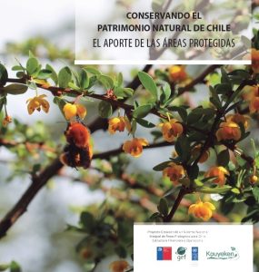 29008445ffe295516cf7845a4acd6365 bd3