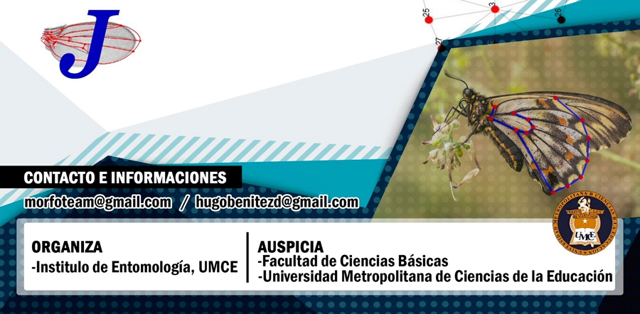 8c36b6b6d4eac8bb8839812d08c9c39c 986