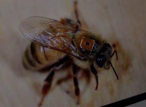 Noticias 98a603e1940a8f9204f68a90703d47ea 1be