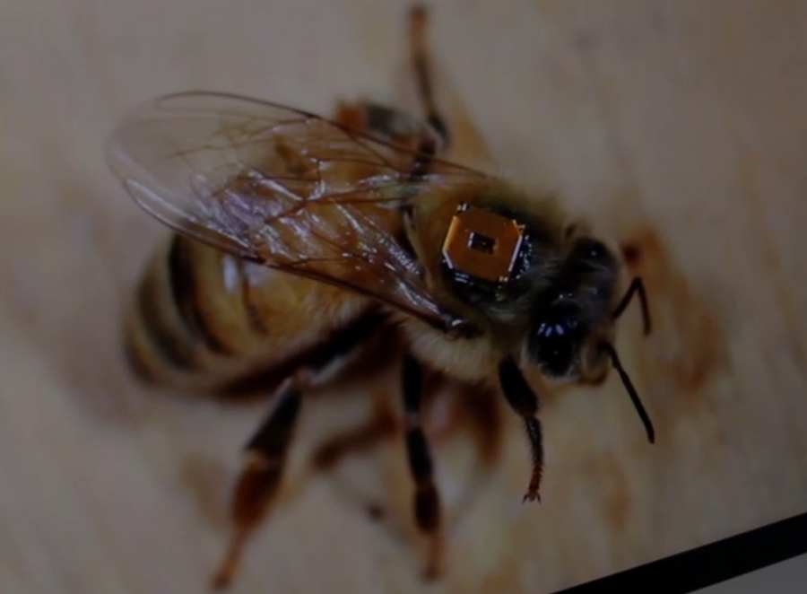 98a603e1940a8f9204f68a90703d47ea 1be