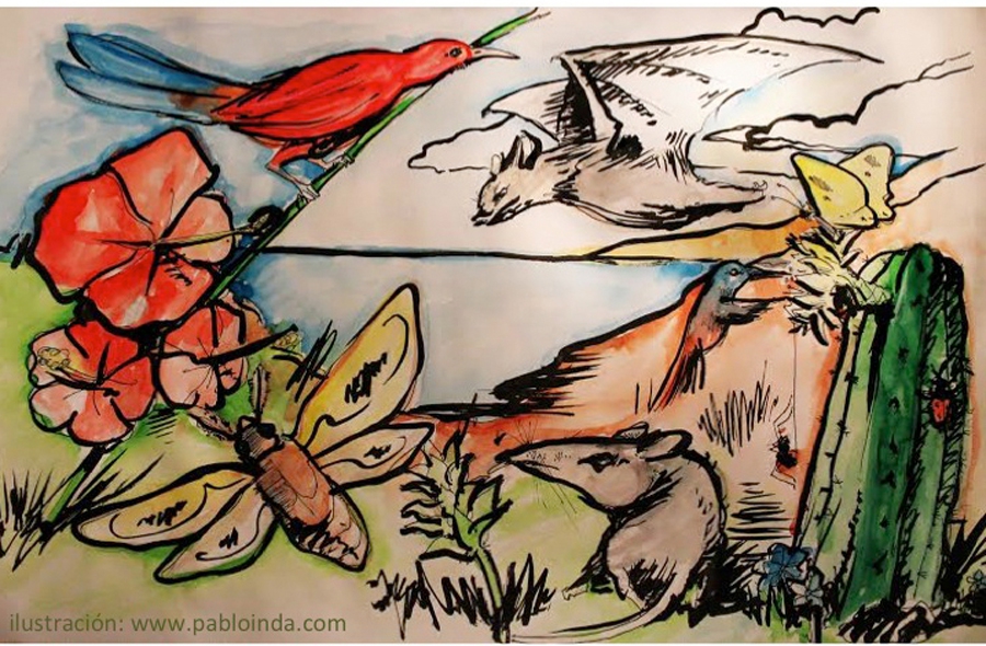 47a810410567557a6f2ef4ec2b18ae30 6b0