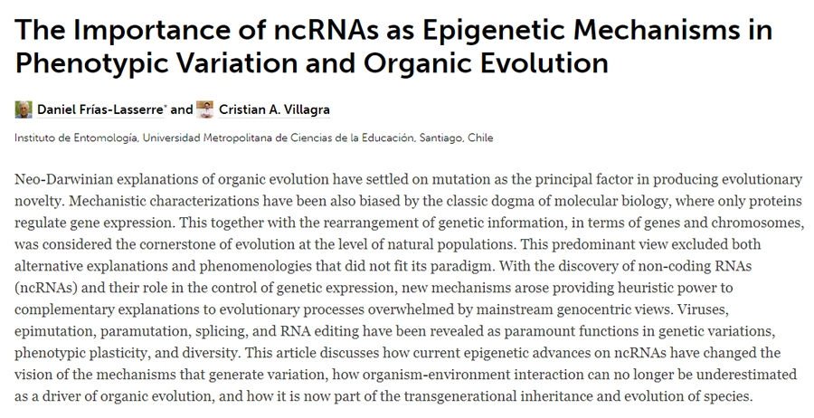 9ad7d231a57dcffaa99d5f95d8204ef3 4d4