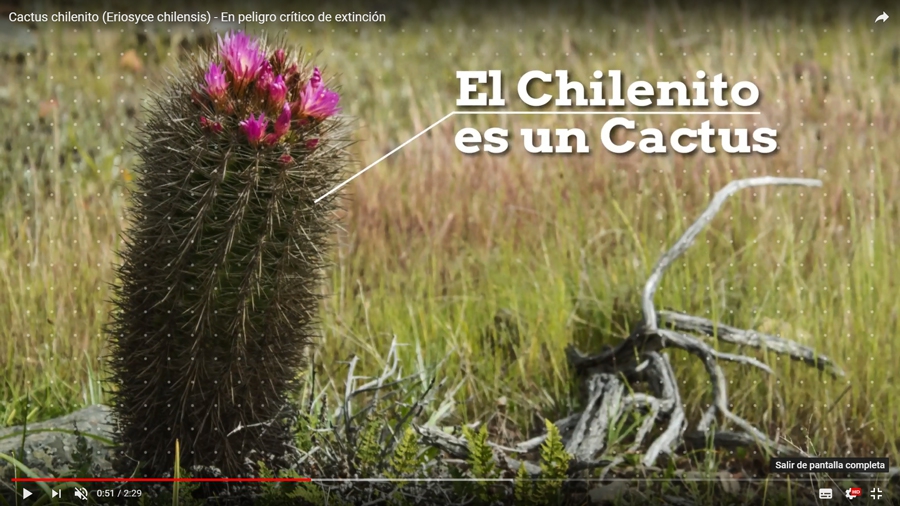 730d5f805420cce4bd7b45fd725036c0 c66