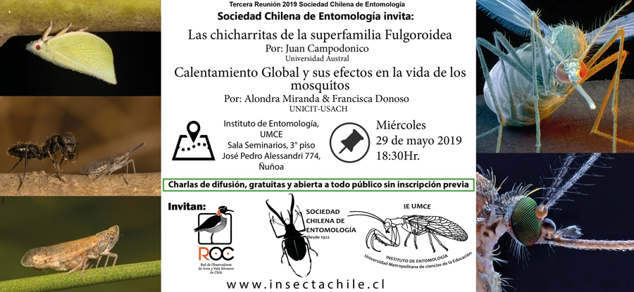 159410b2d8aaed37af98fd73a83bd77e 181