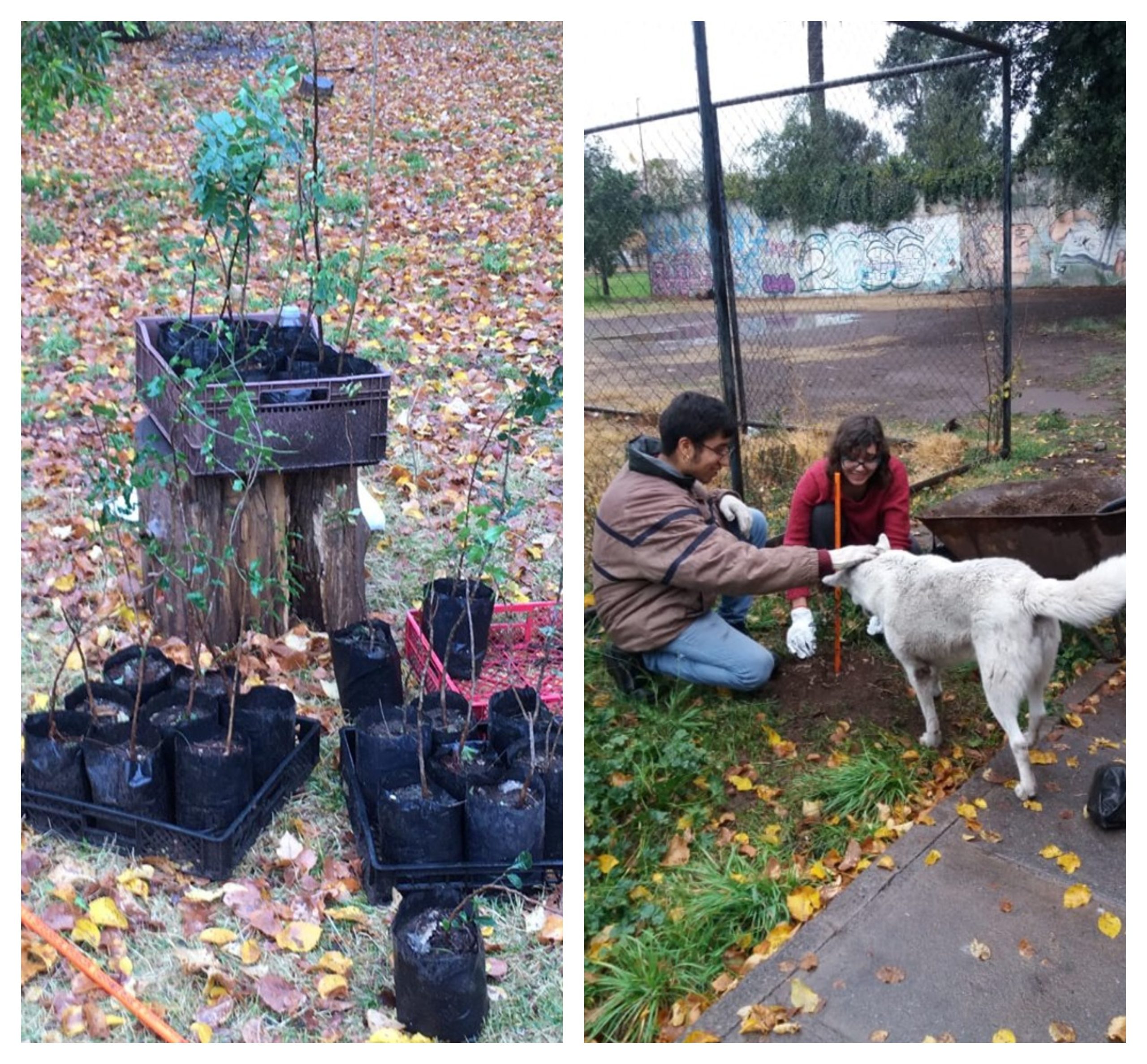 30af13a51cac937c28d30b84e498213a b83