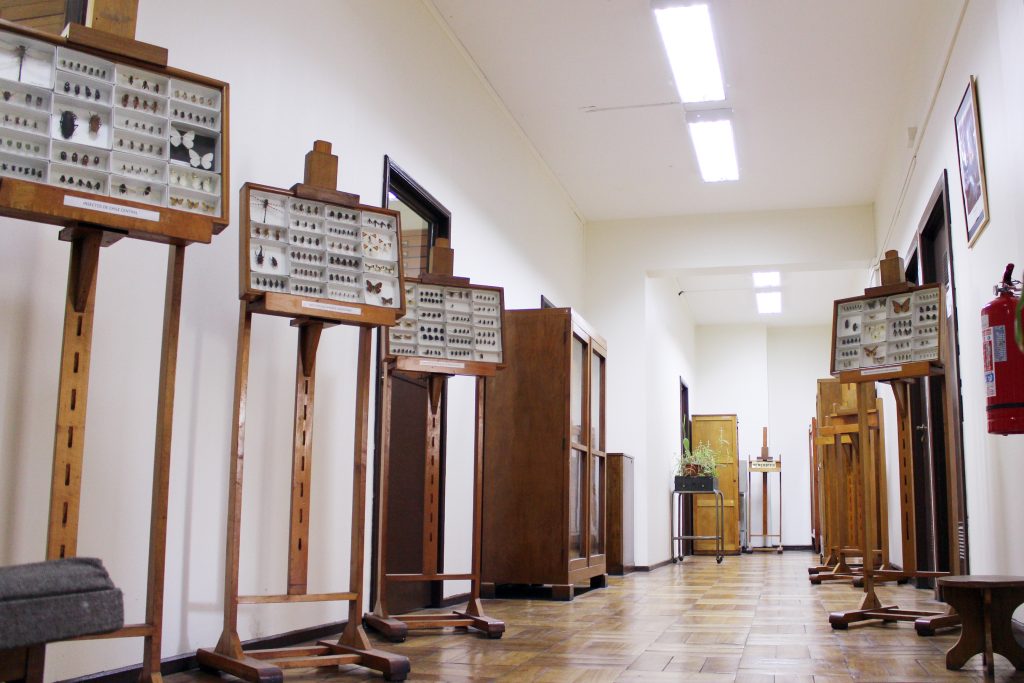 0a785842d1965ae62a9e8464b55ef971 c80