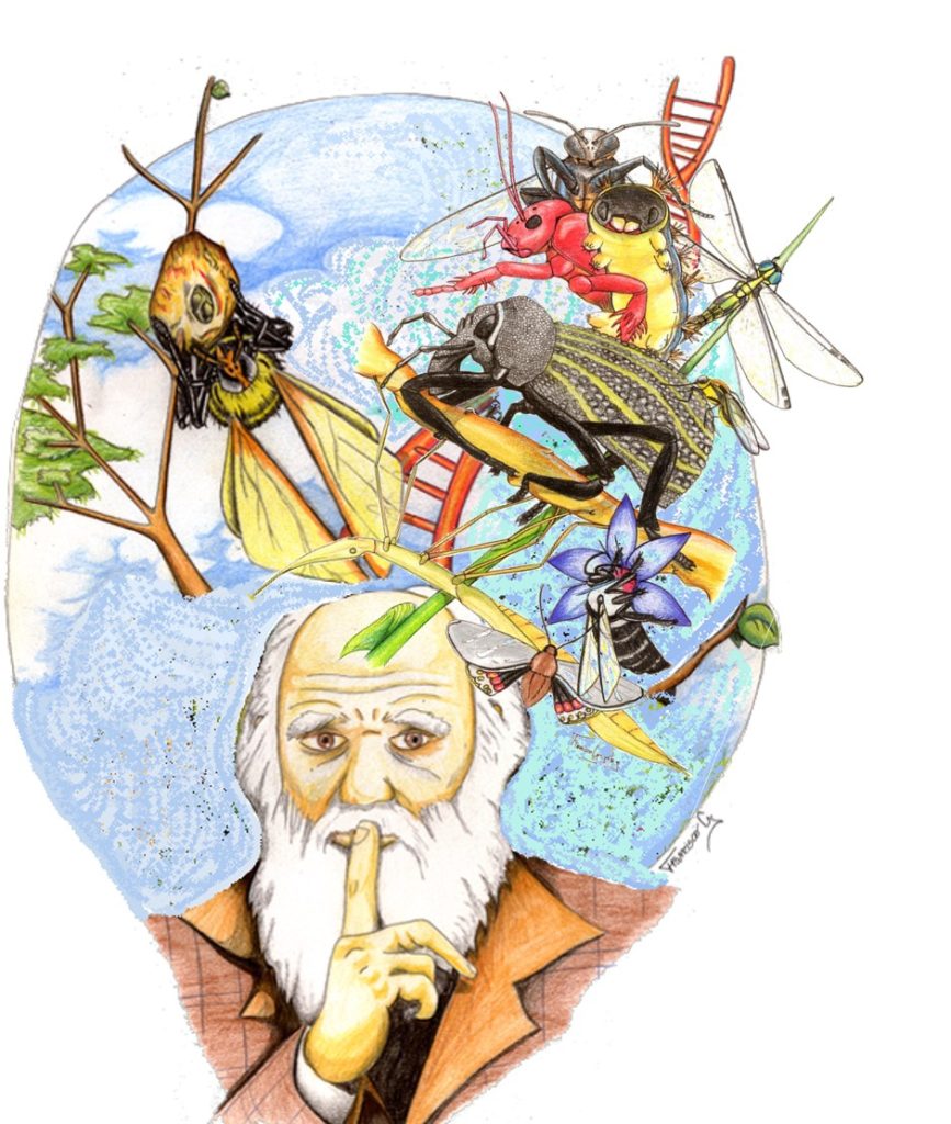 76a2880970130cb3eb77e35a331ba557 3f3