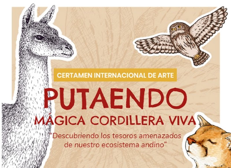 091dc07705584b6f472a78d0c94a6122 86c