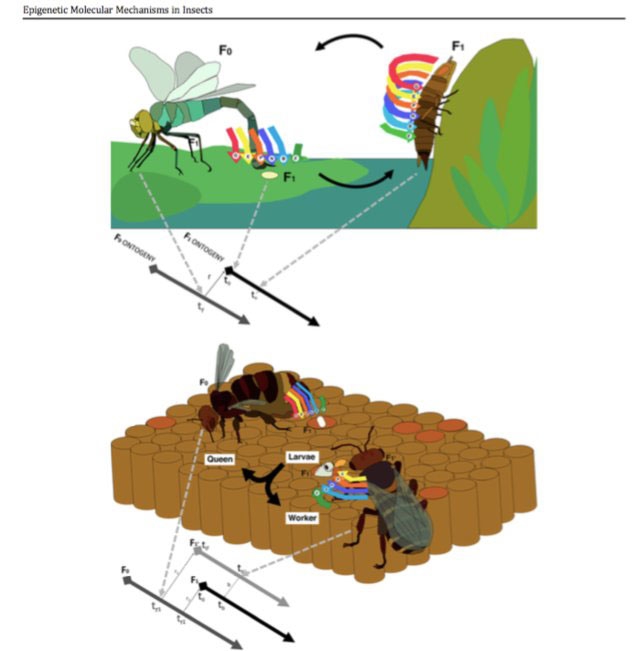 46341661b287a33b63cd0f66c84da6bb 365