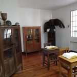 Museo_Instituto_Pedaggico_4
