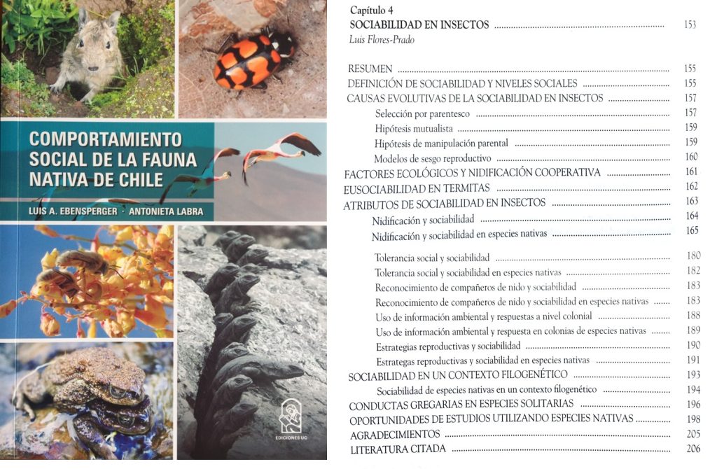 d0b71748ba0e5700e8c7884ccddba483 cfc