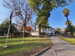 Noticias a74045605f04a1b4723dd8b89cf349b1 226