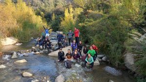 Noticias 7915731e4e19ceea4d73d26bebb0d76a 529