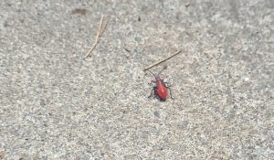 bb34ab2f72edf0306f5d69ce8d76b3d0 a60