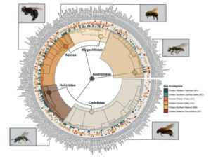 f59841cb9017648e0237919efc47e0ee 121