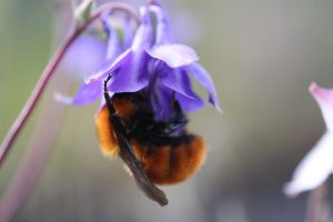 Fotografías: Cristian Villagra Gil