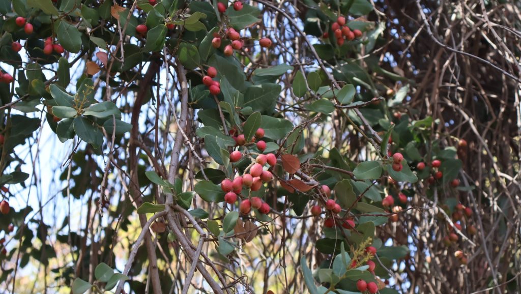 d215488382b19d3baa0e6b2048422547 7f1