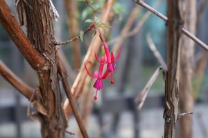 3bc20e6ea2f0861dba472cf79bb8c152 38c