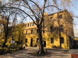 8e5cd8e7b5654d9248738d05da29652636c9bb57