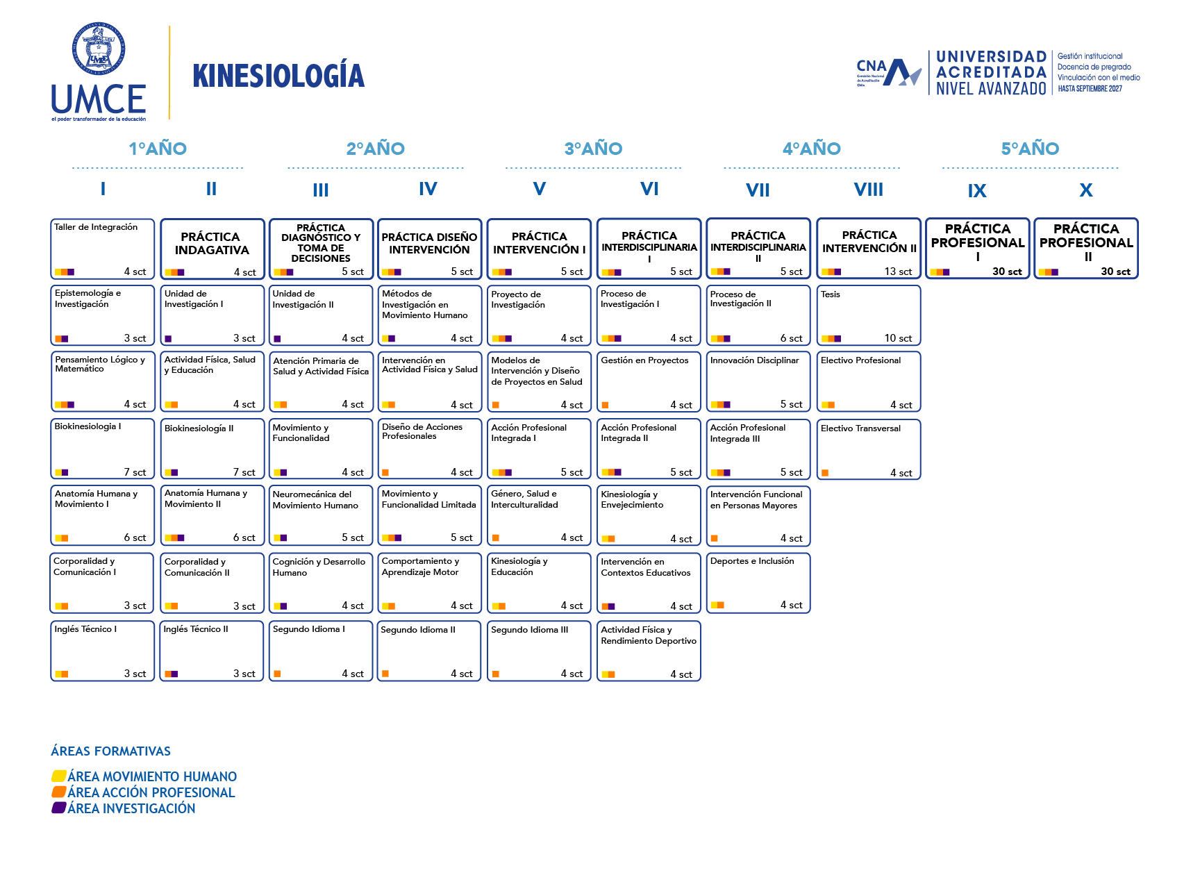 malla kinesiologia dic 2024