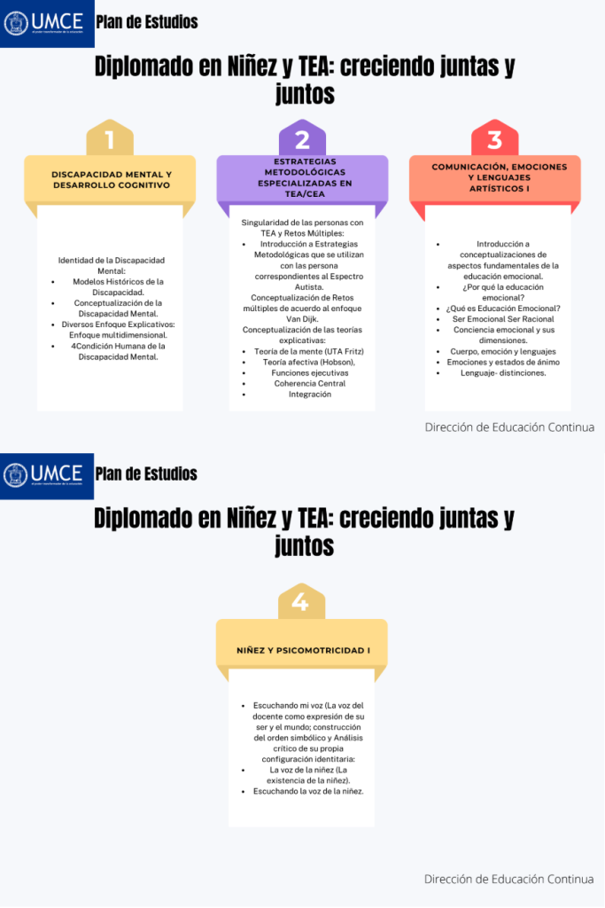 Plan de Estudios Diplomado en Niñez y TEA creciendo juntas y juntos
